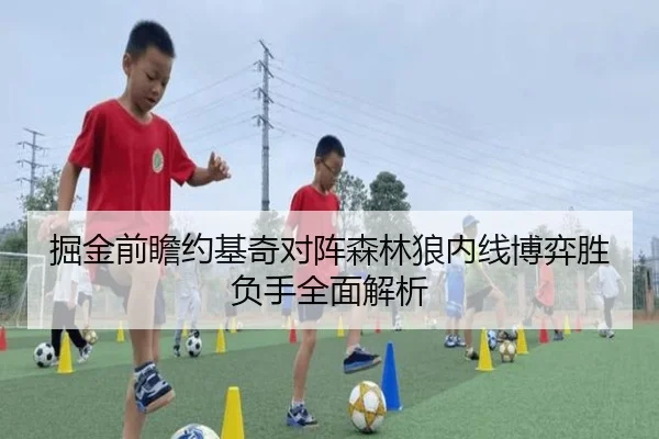 掘金前瞻约基奇对阵森林狼内线博弈胜负手全面解析